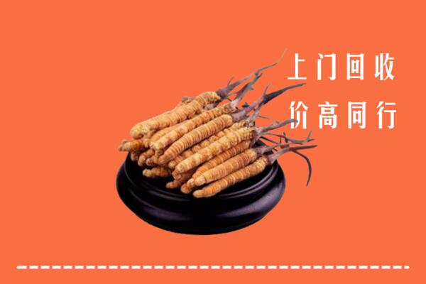 高价求购：滨城区回收散虫草