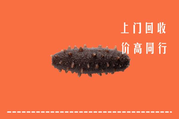 滨城区回收海参